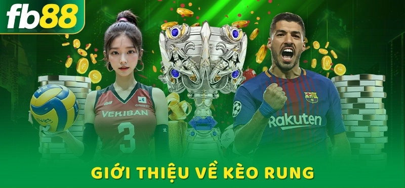 Tìm hiểu về kèo rung tại FB88