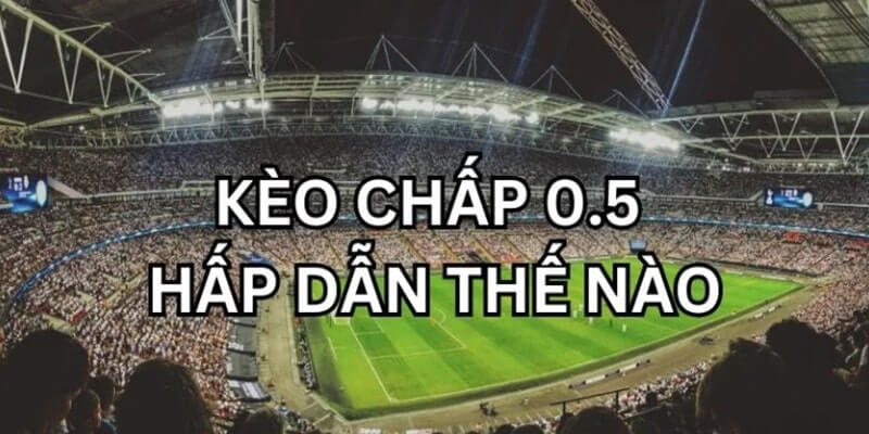 Lý giải sức hút của kèo chấp 0.5